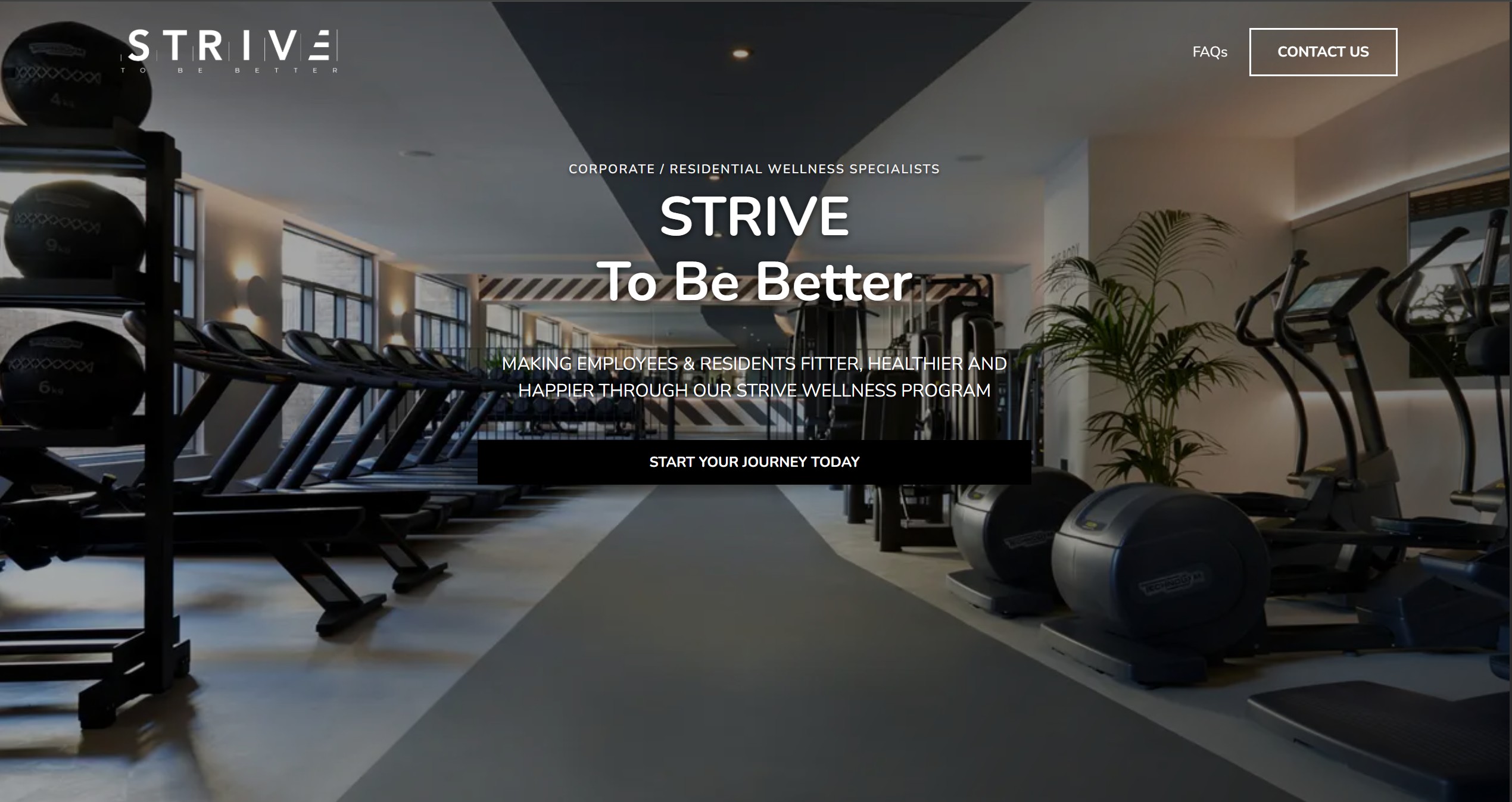 STRIVE - Fitness Coaching